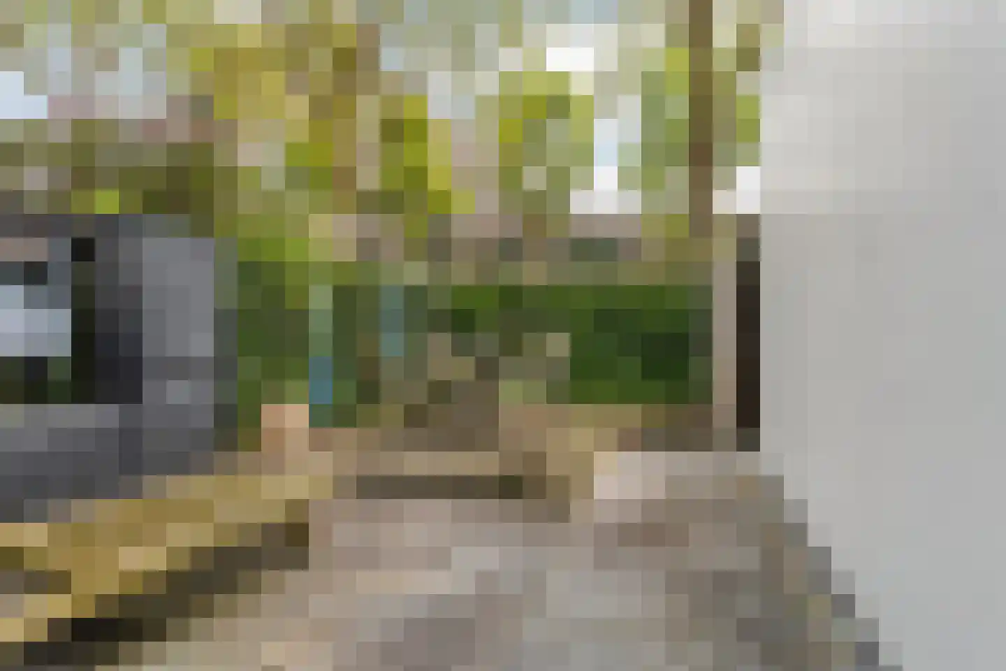 Zwijnsbergenstraat 185 Breda thumbnail 22