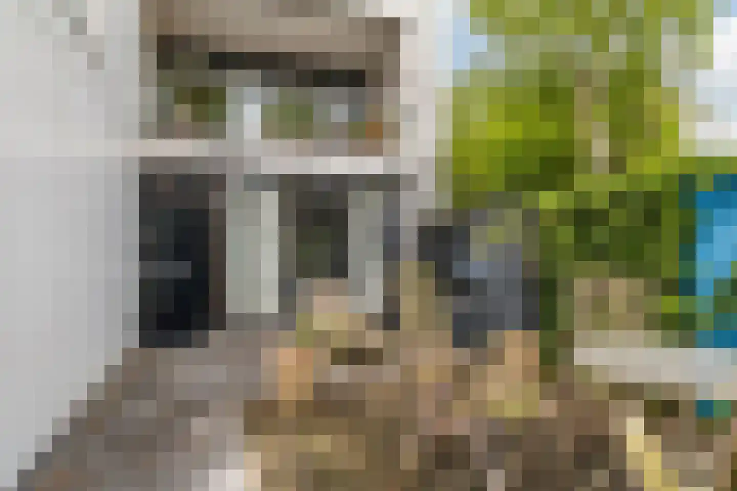 Zwijnsbergenstraat 185 Breda thumbnail 23