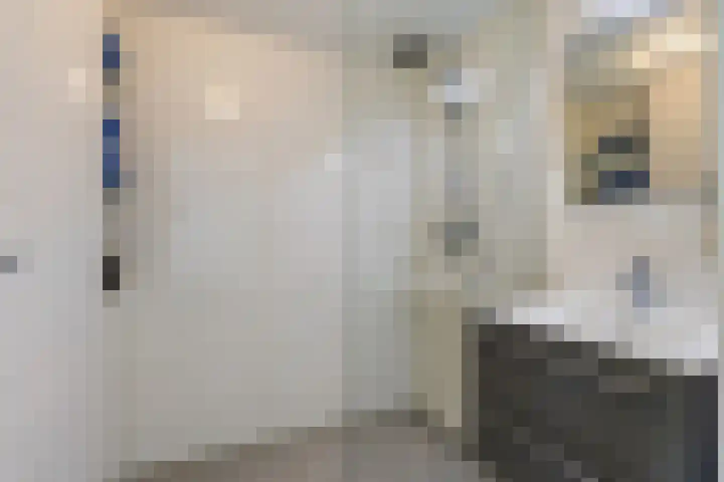 Zwijnsbergenstraat 185 Breda thumbnail 6