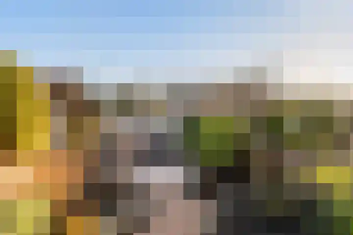 Zwijnsbergenweg 102 Rotterdam thumbnail 8