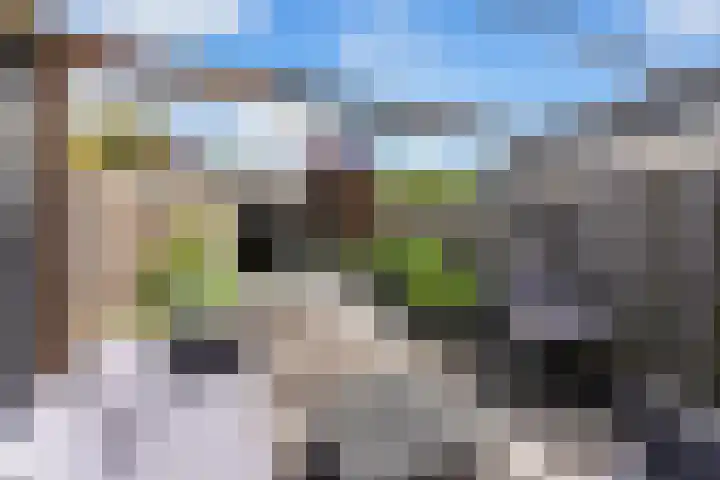 Zwijnsbergenweg 76 Rotterdam thumbnail 32