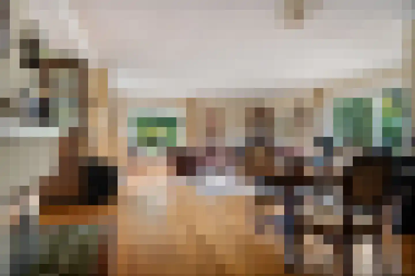 Zwijnsweg 12 Ens thumbnail 14