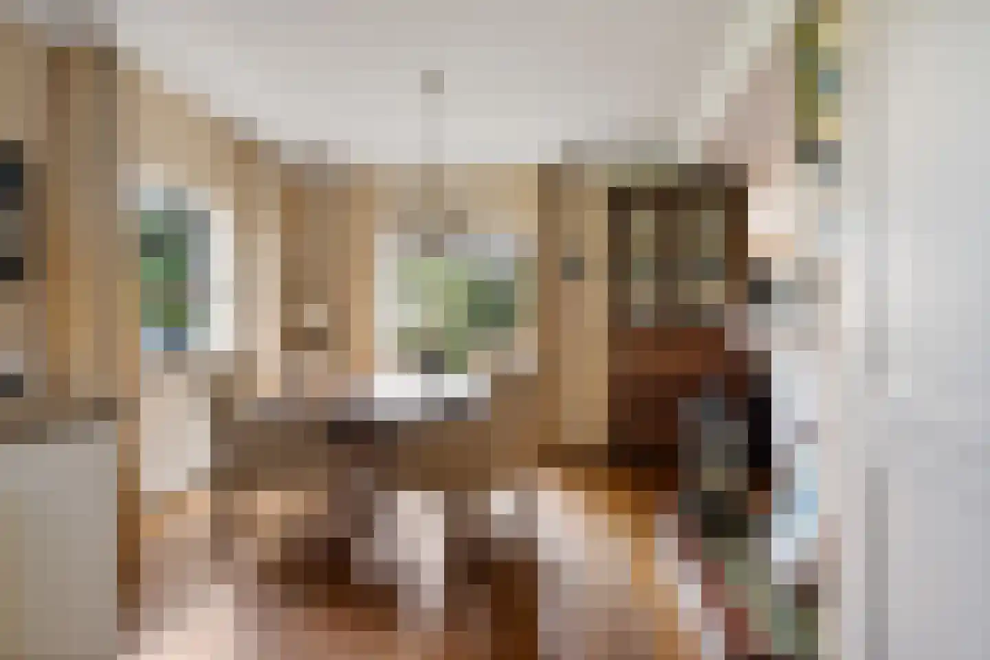 Zwijnsweg 12 Ens thumbnail 16