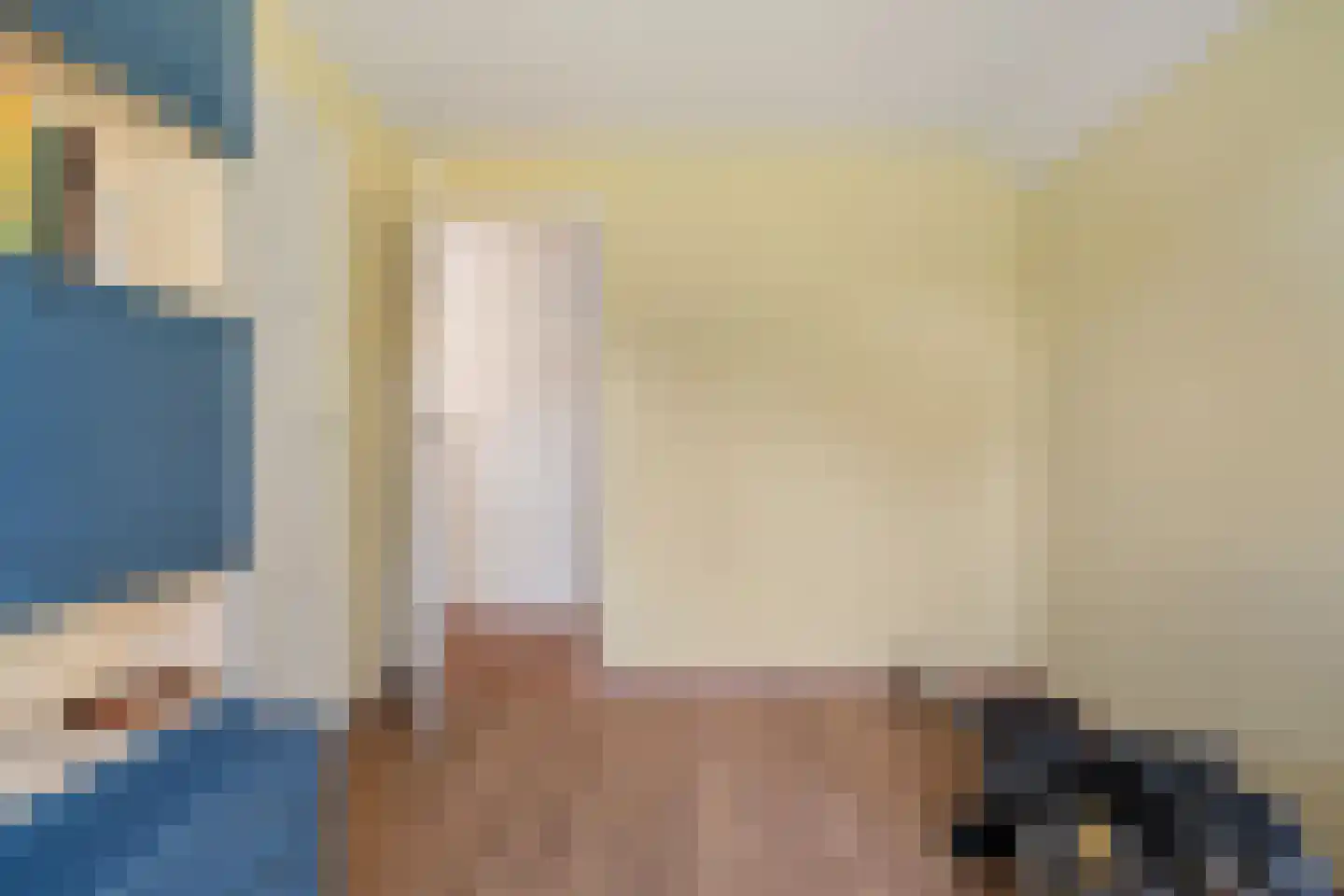 Zwijnsweg 12 Ens thumbnail 22