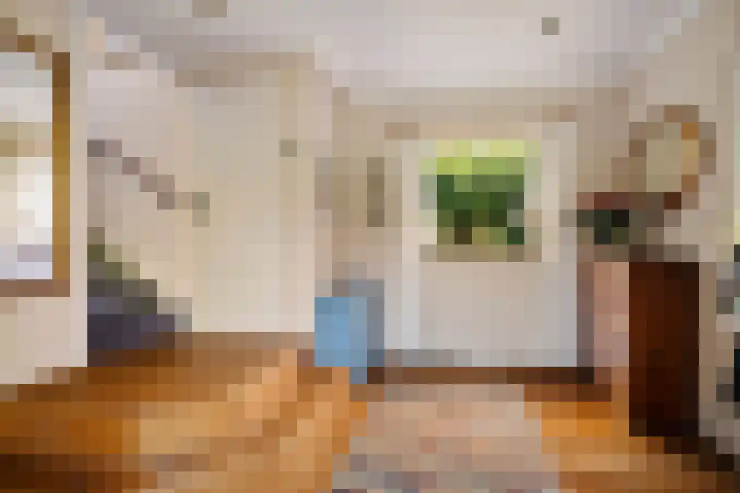 Zwijnsweg 12 Ens thumbnail 25