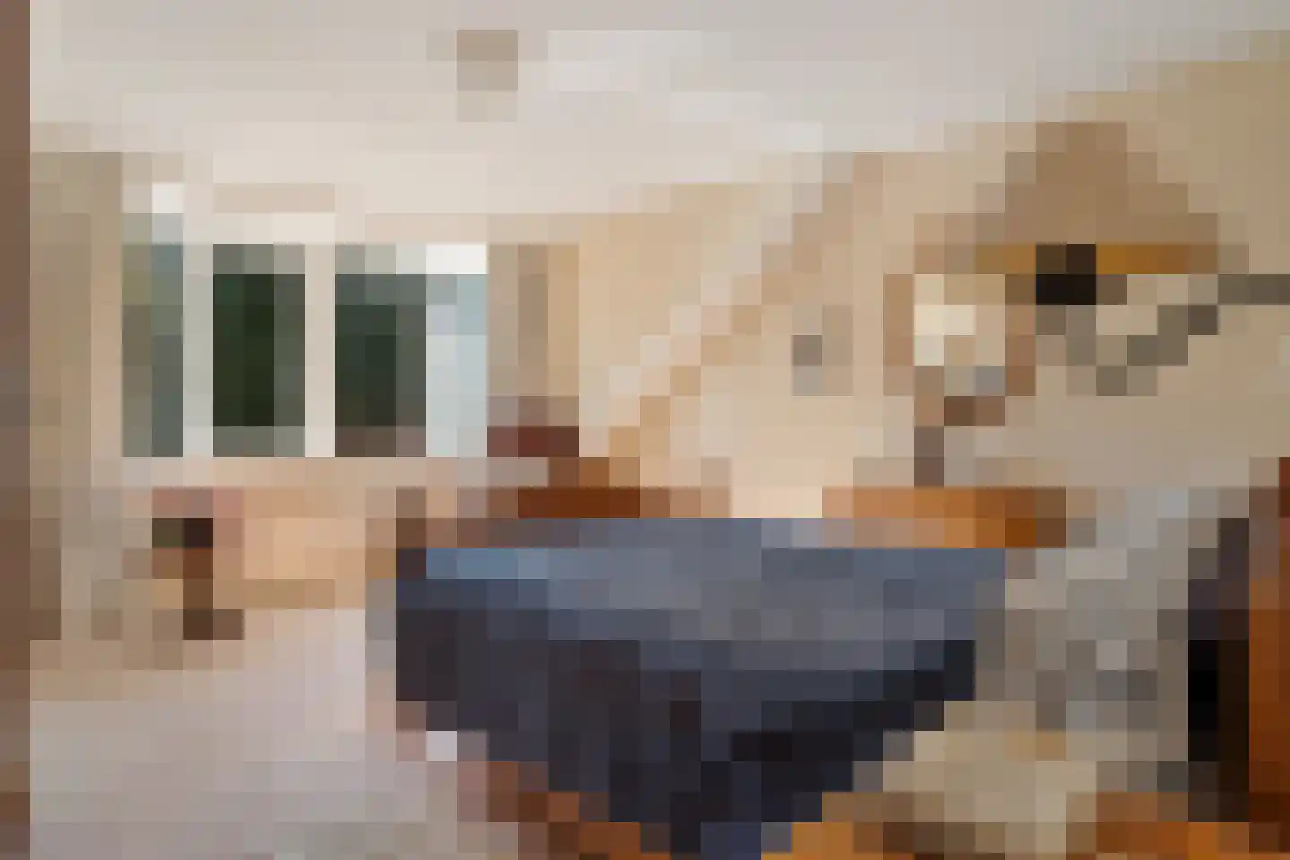 Zwijnsweg 12 Ens thumbnail 30