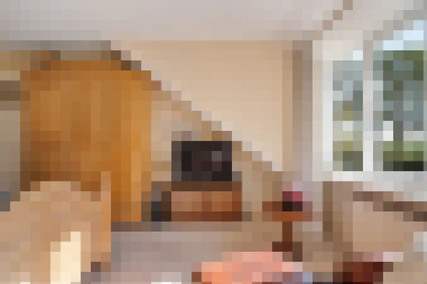 Zwijnsweg 12 Ens thumbnail 31
