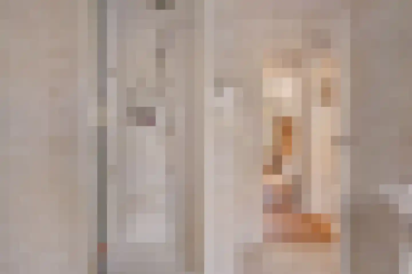 Zwijnsweg 12 Ens thumbnail 35