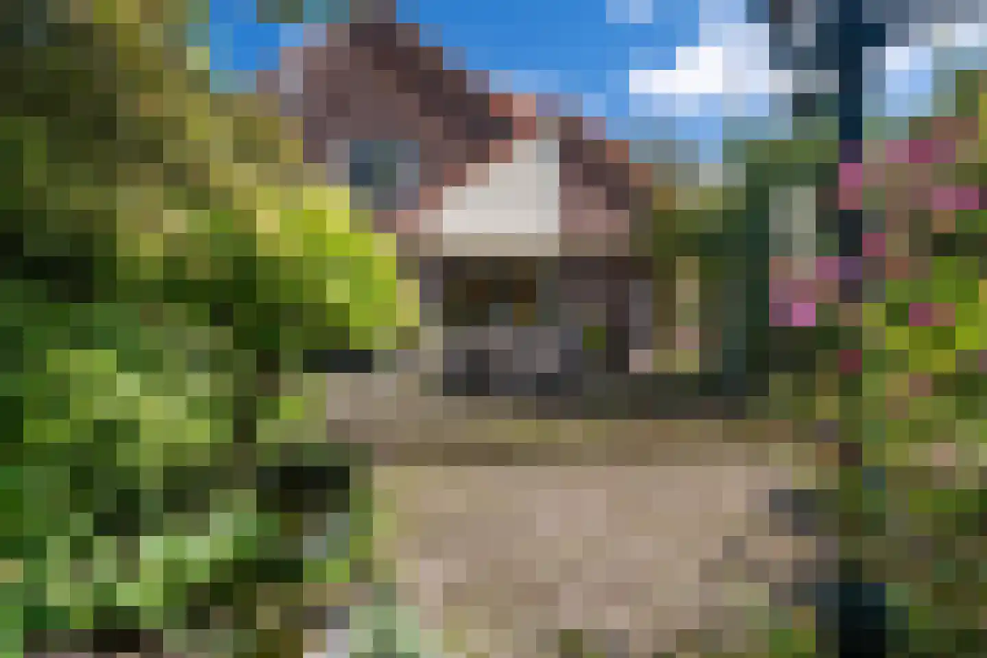 Zwijnsweg 12 Ens thumbnail 40