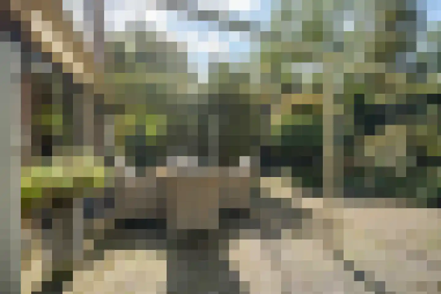 Zwijnsweg 12 Ens thumbnail 41