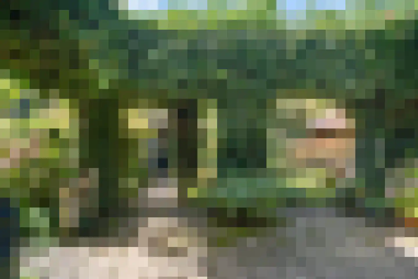 Zwijnsweg 12 Ens thumbnail 42