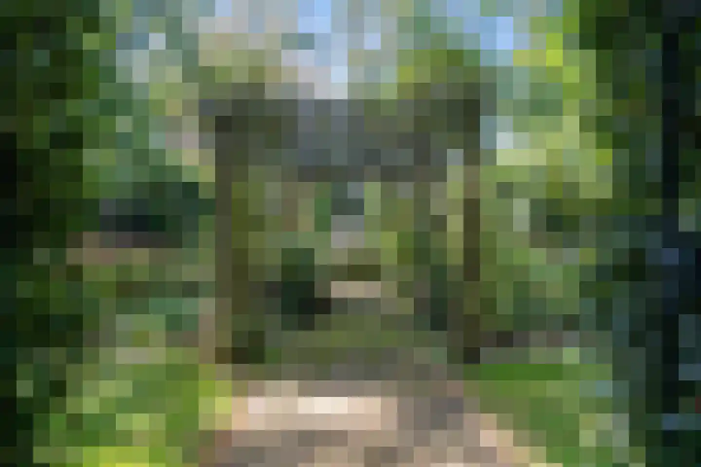 Zwijnsweg 12 Ens thumbnail 43