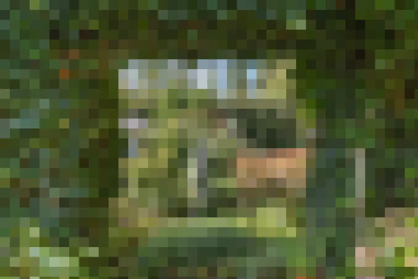 Zwijnsweg 12 Ens thumbnail 45