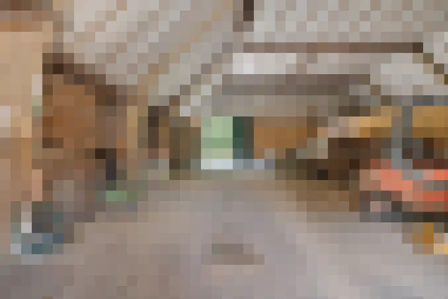 Zwijnsweg 12 Ens thumbnail 53