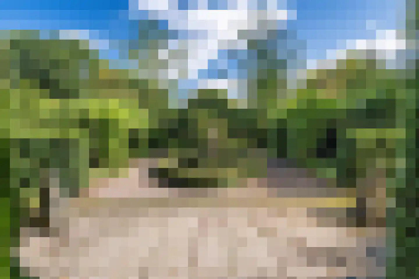 Zwijnsweg 12 Ens thumbnail 57