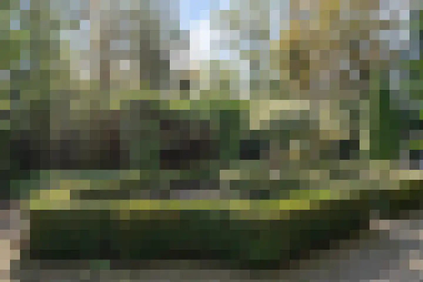 Zwijnsweg 12 Ens thumbnail 58