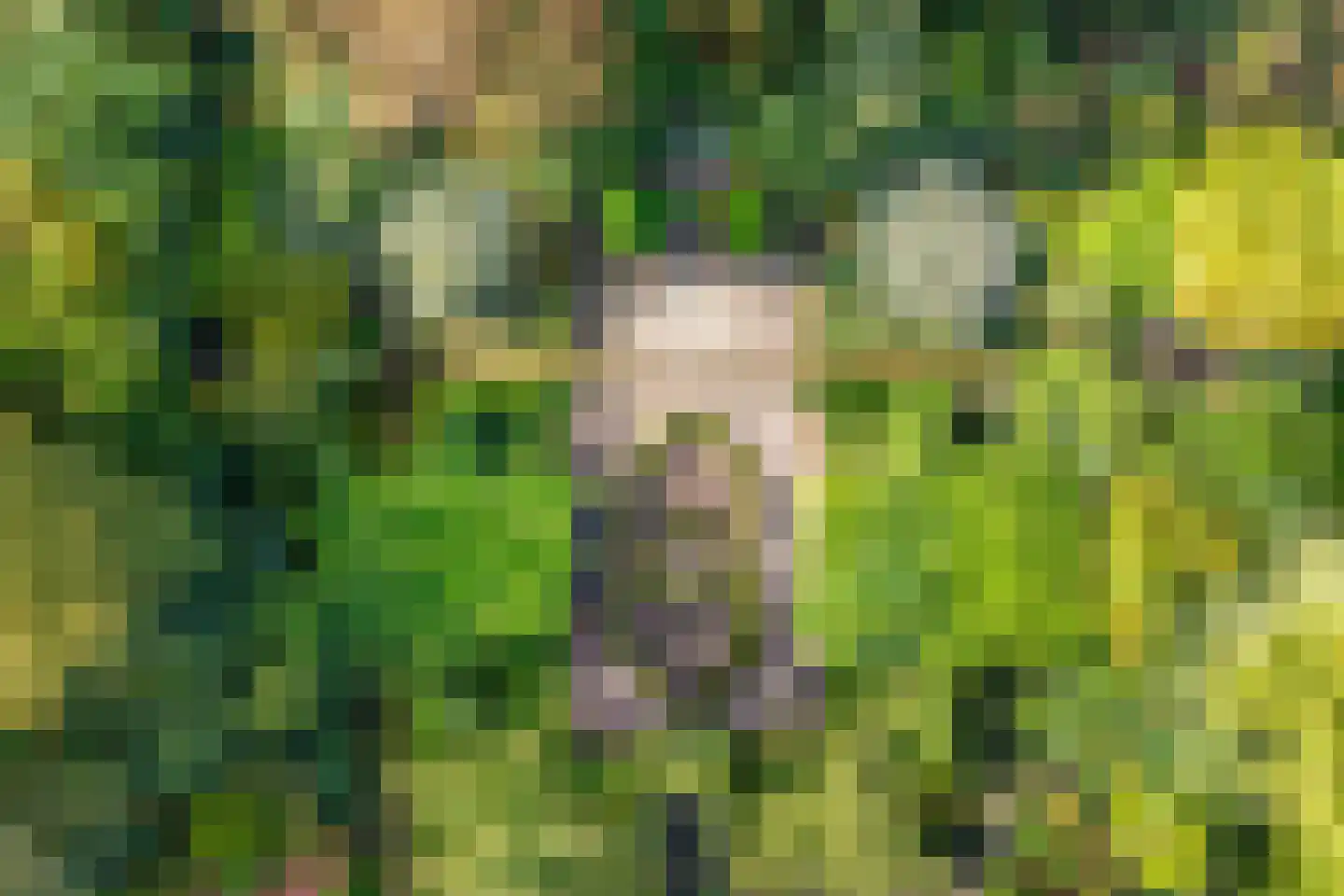 Zwijnsweg 12 Ens thumbnail 59