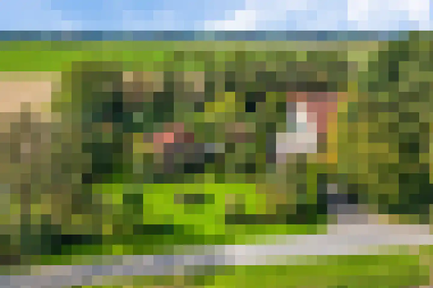 Zwijnsweg 12 Ens thumbnail 60