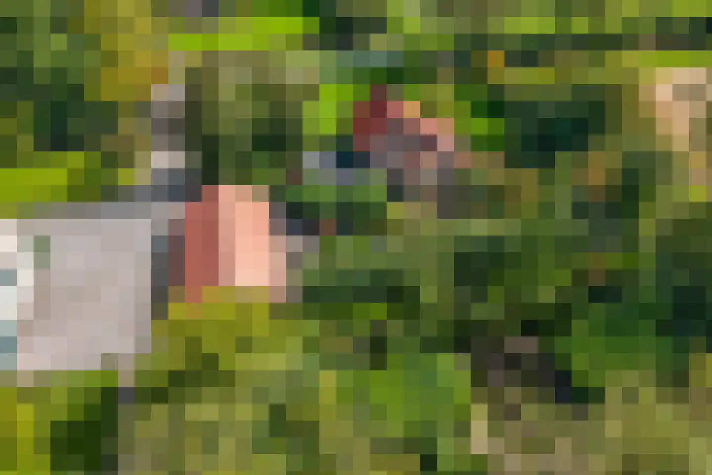Zwijnsweg 12 Ens thumbnail 61