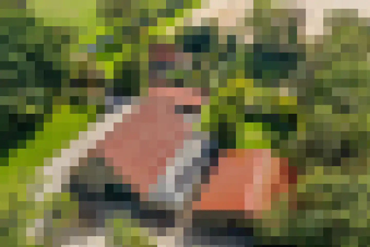 Zwijnsweg 12 Ens thumbnail 62