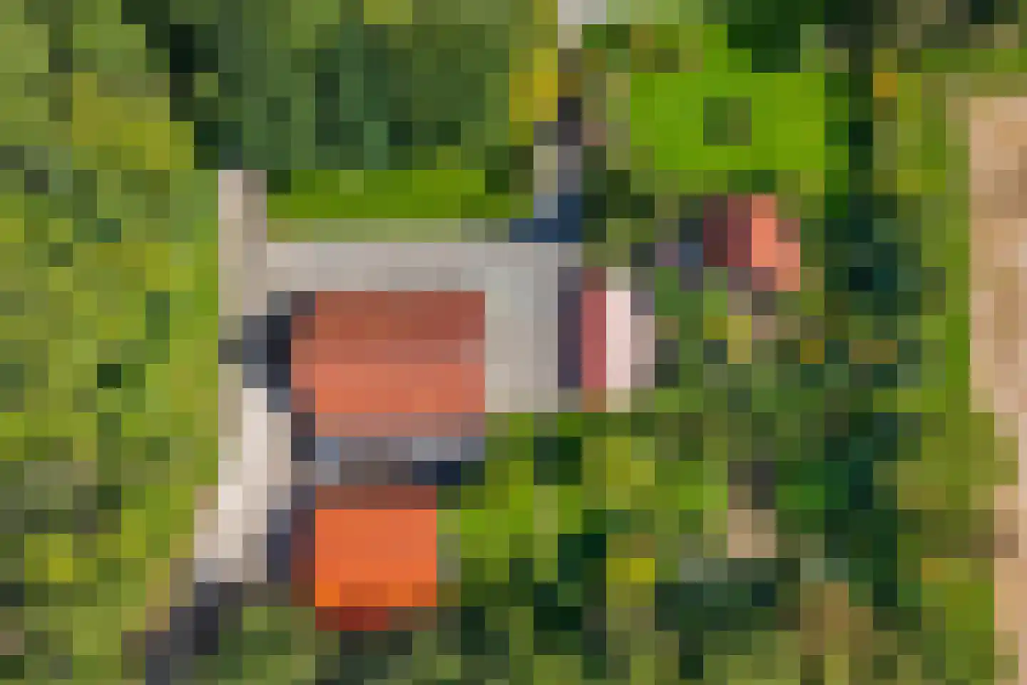Zwijnsweg 12 Ens thumbnail 63