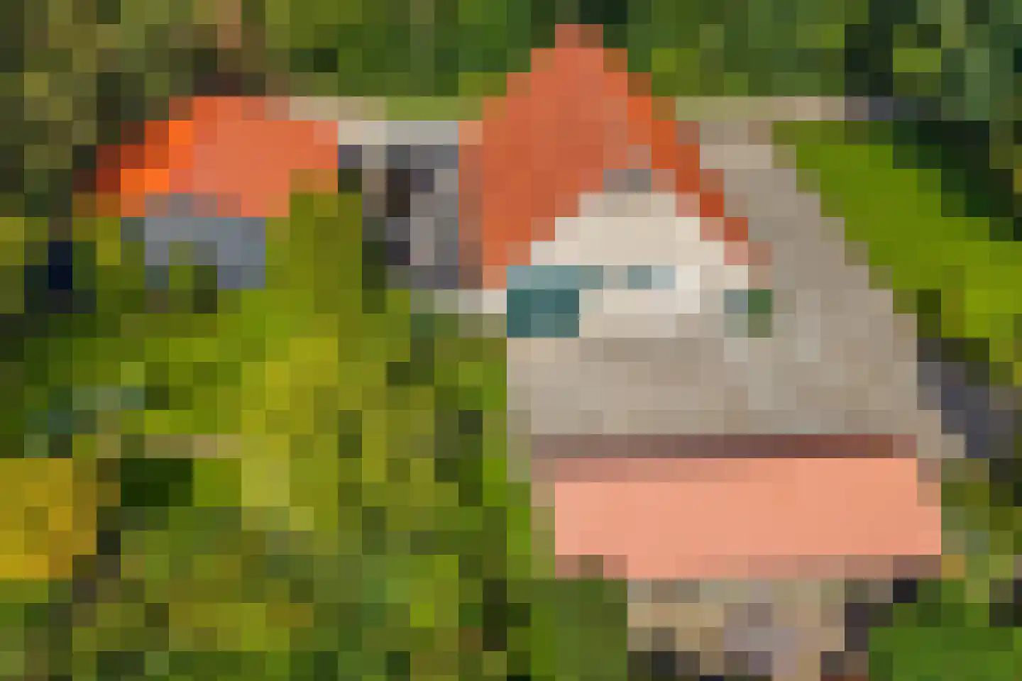 Zwijnsweg 12 Ens thumbnail 64