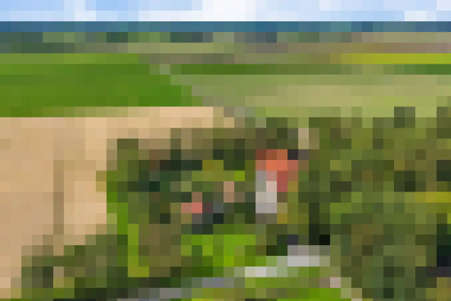 Zwijnsweg 12 Ens thumbnail 66