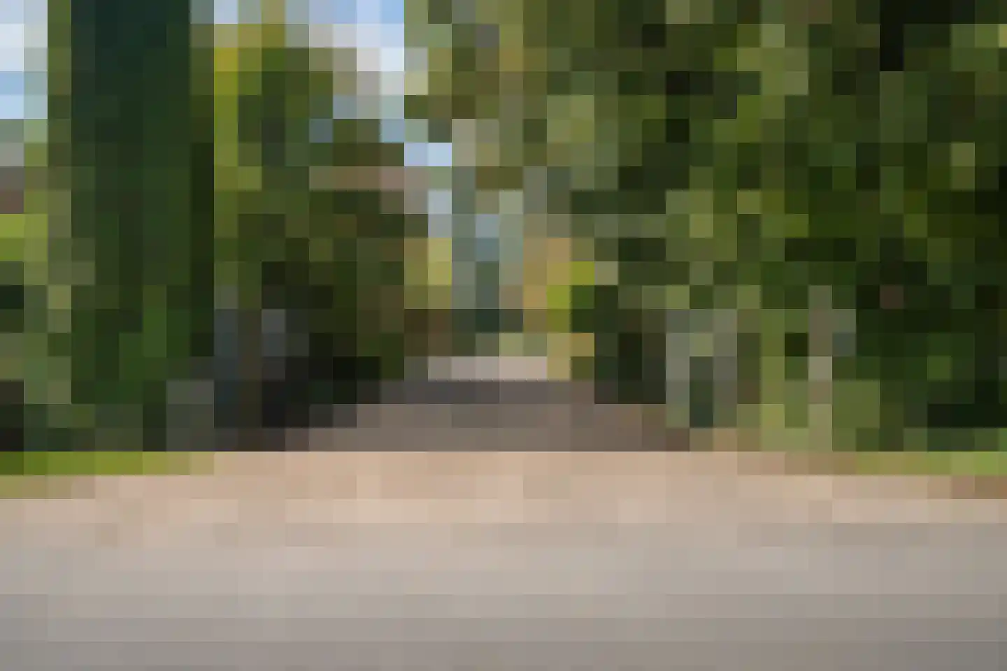 Zwijnsweg 12 Ens thumbnail 7