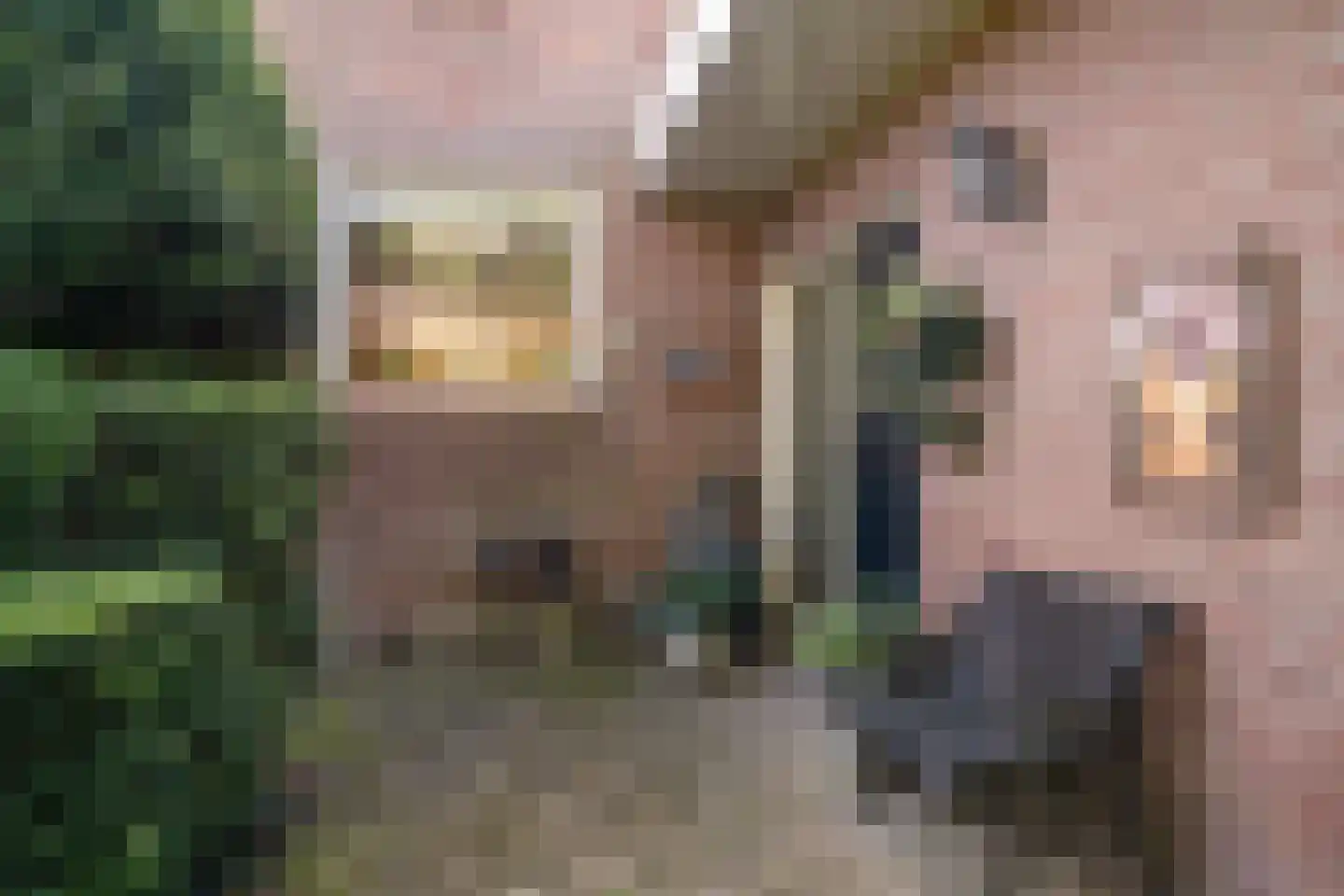 Zwijnsweg 12 Ens thumbnail 9
