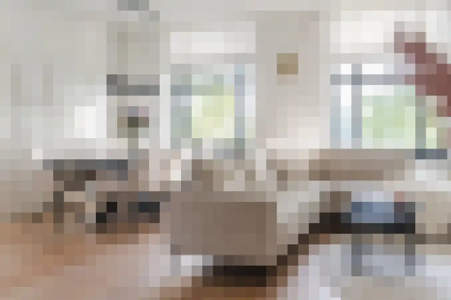 Zwijsenhof 100 Veghel thumbnail 16
