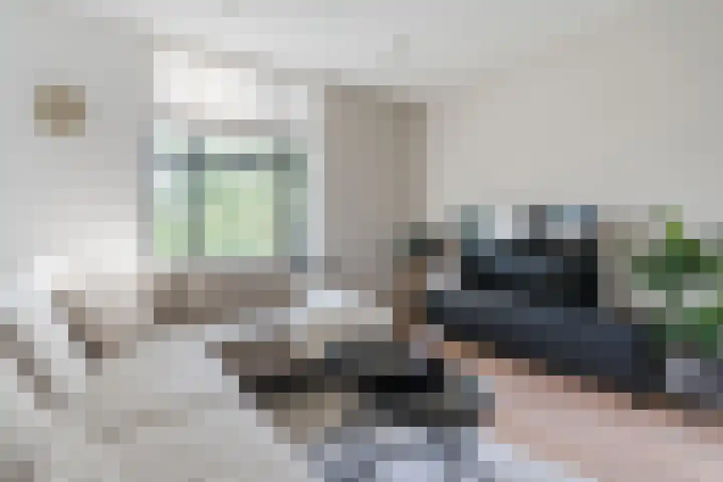 Zwijsenhof 100 Veghel thumbnail 17