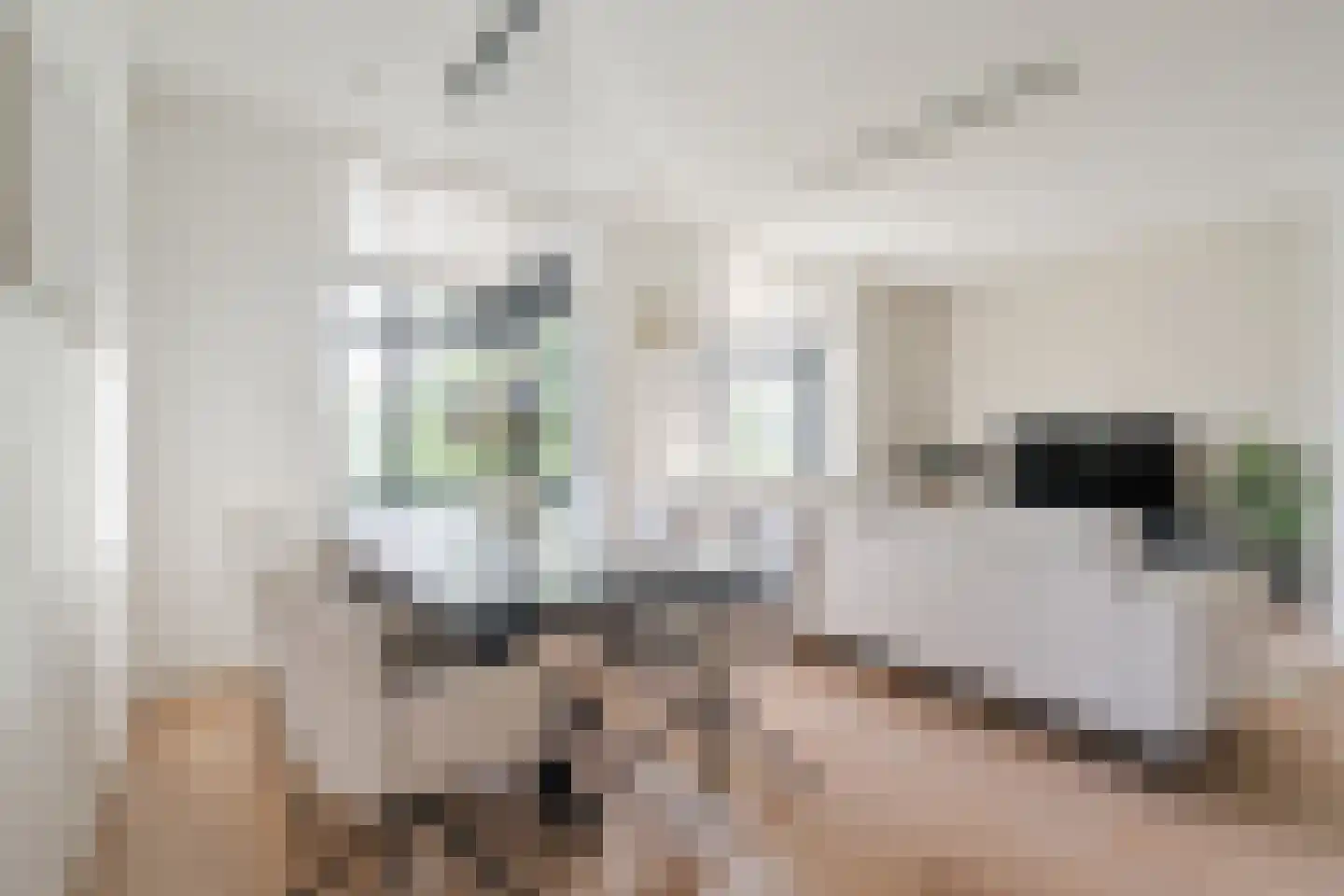 Zwijsenhof 100 Veghel thumbnail 22