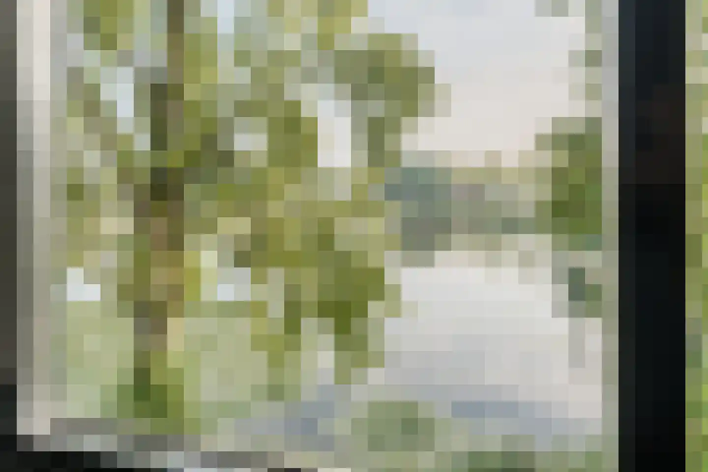 Zwijsenhof 100 Veghel thumbnail 23