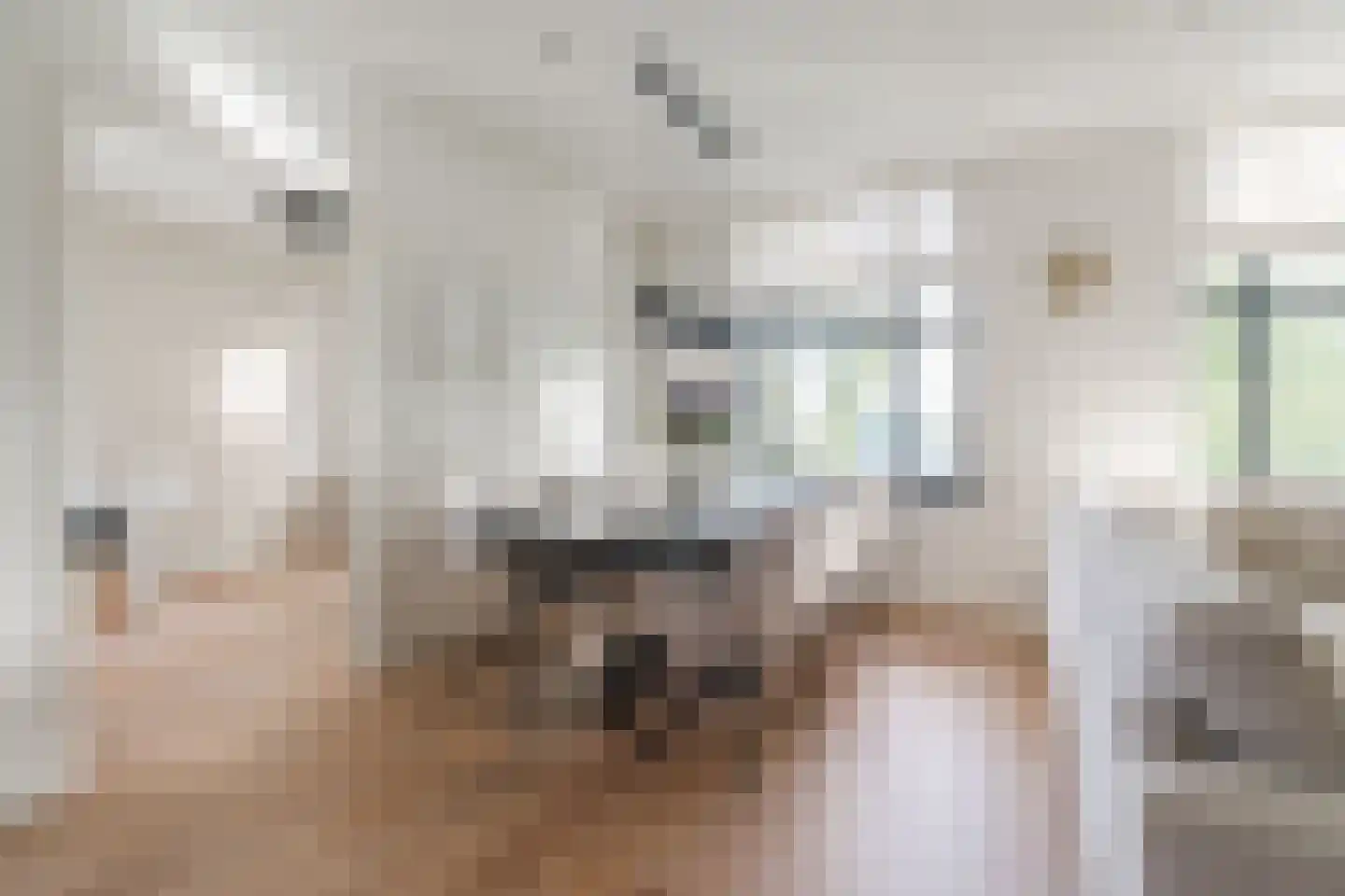 Zwijsenhof 100 Veghel thumbnail 24