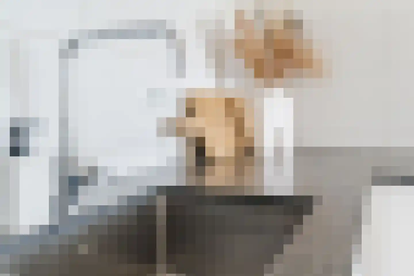 Zwijsenhof 100 Veghel thumbnail 27