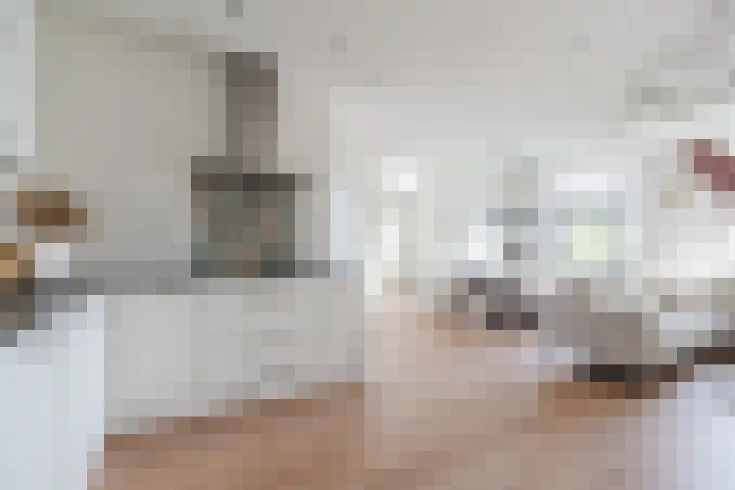 Zwijsenhof 100 Veghel thumbnail 29