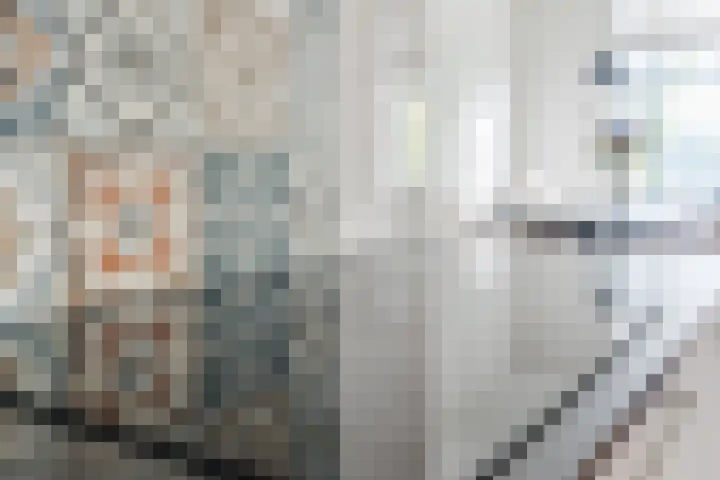 Zwijsenhof 100 Veghel thumbnail 30