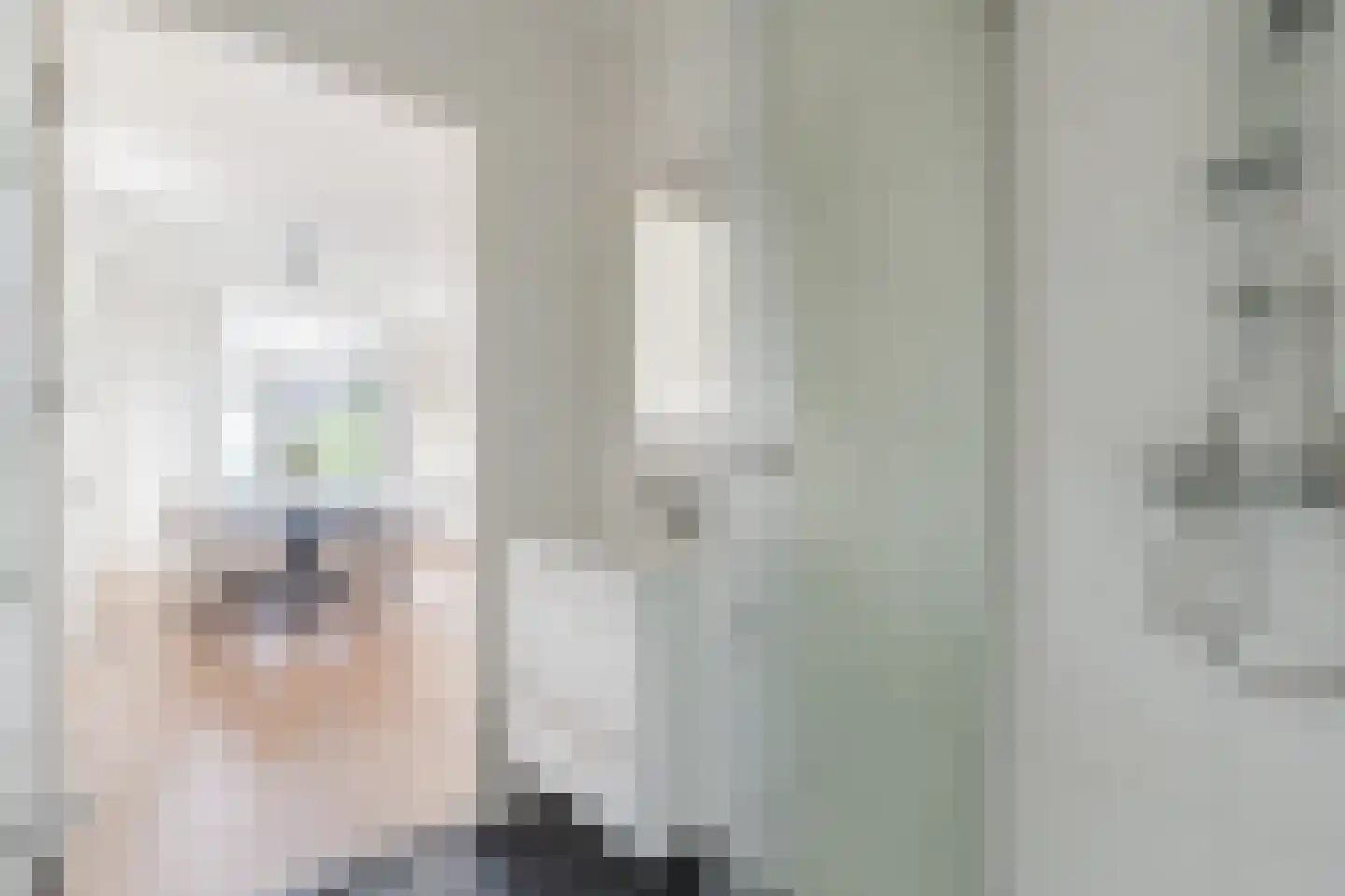Zwijsenhof 100 Veghel thumbnail 35