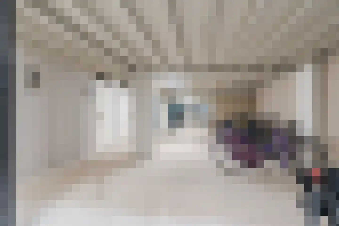 Zwijsenhof 100 Veghel thumbnail 41