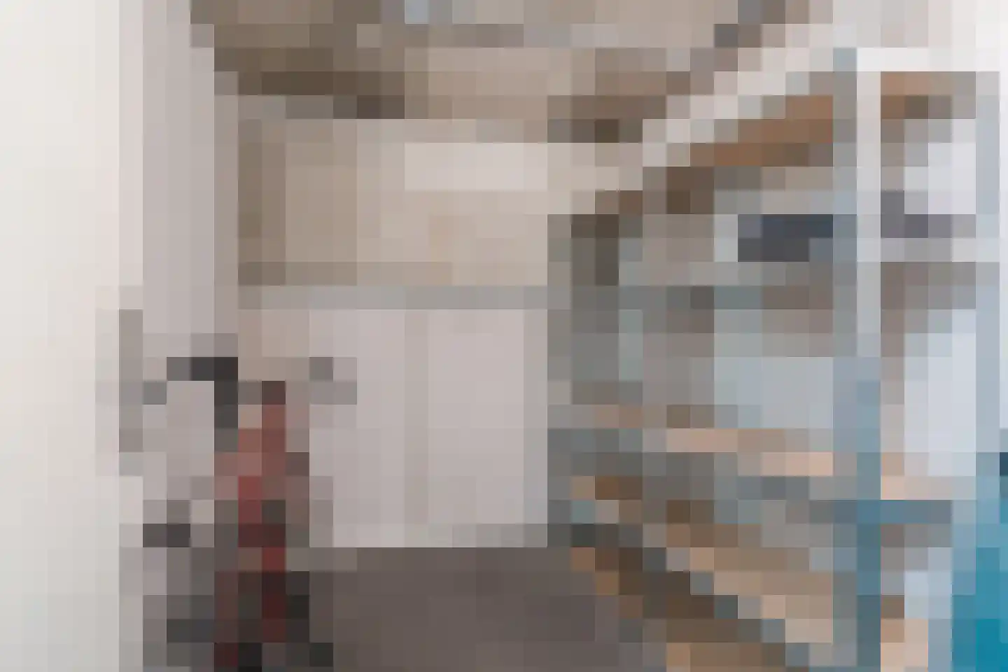 Zwijsenhof 100 Veghel thumbnail 42