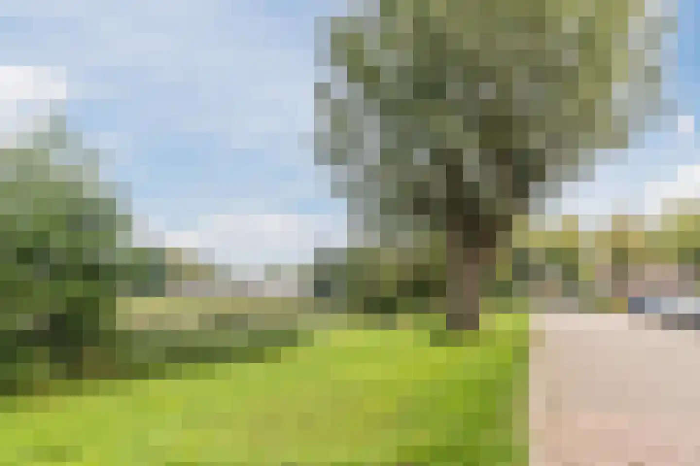 Zwijsenhof 100 Veghel thumbnail 43