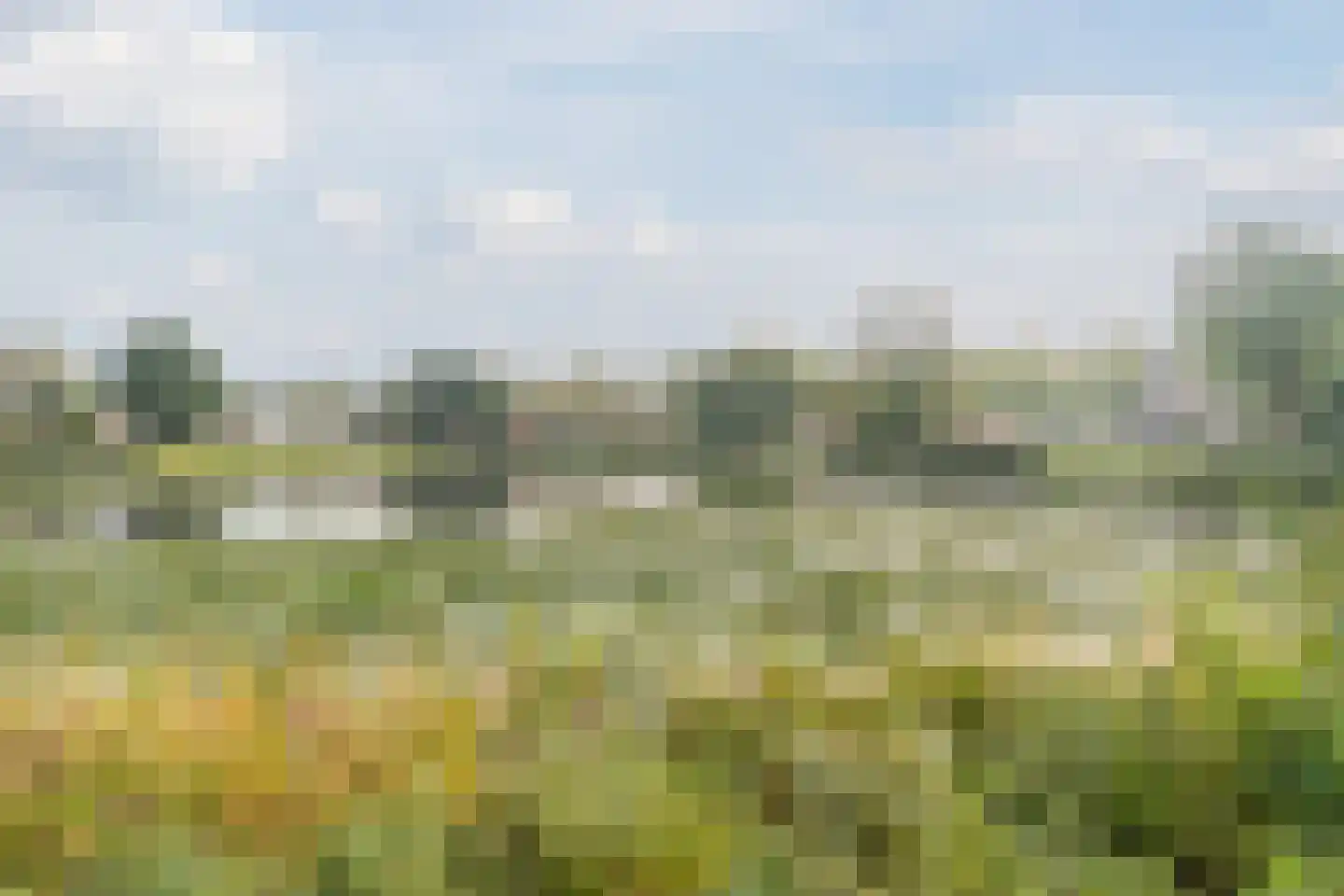 Zwijsenhof 100 Veghel thumbnail 44