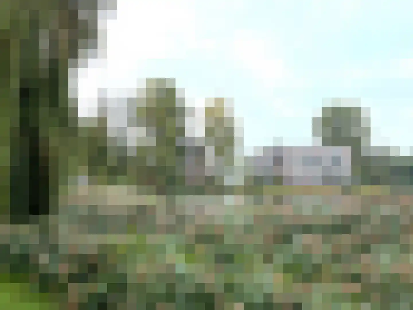 Zwijsenhof 100 Veghel thumbnail 45