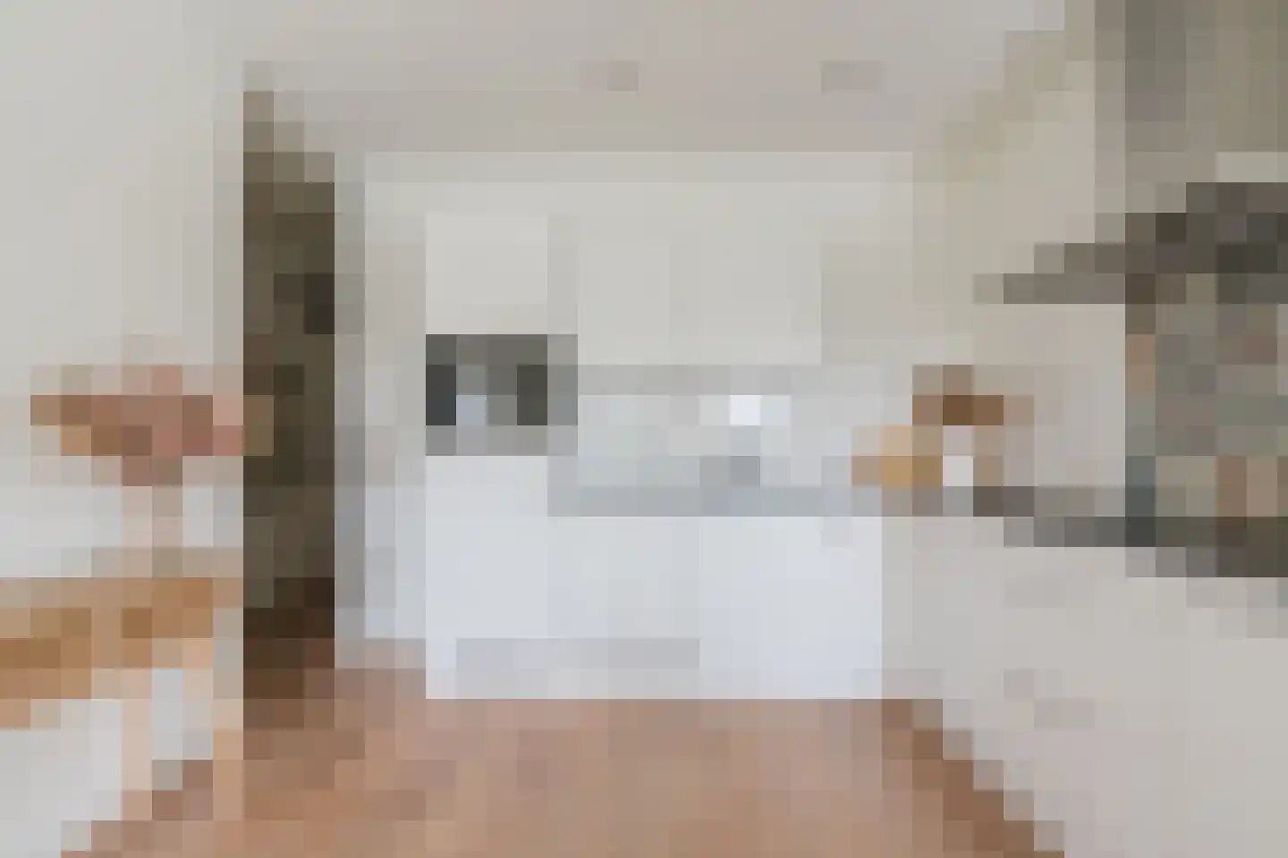 Zwijsenhof 100 Veghel thumbnail 5