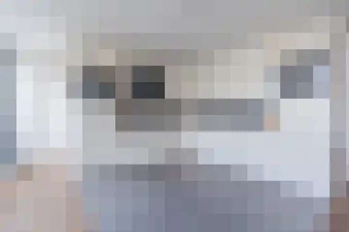 Zwijsenhof 108 Veghel thumbnail 16