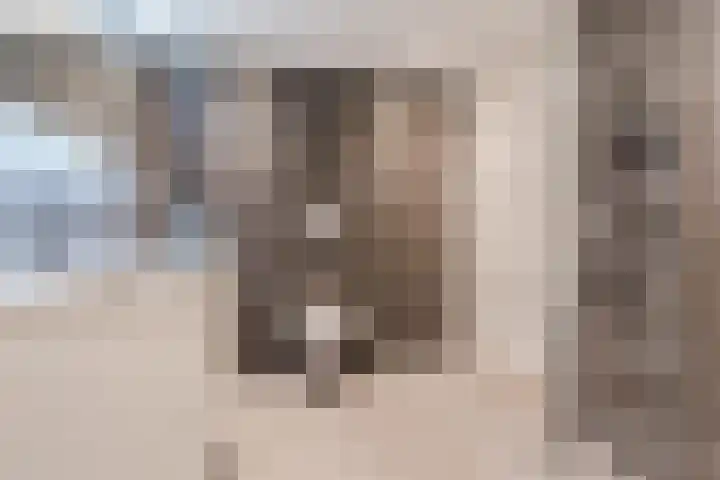 Zwijsenhof 108 Veghel thumbnail 23