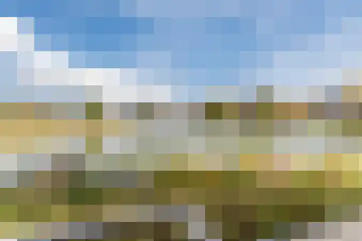 Zwijsenhof 108 Veghel thumbnail 34