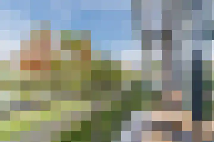 Zwijsenhof 108 Veghel thumbnail 37