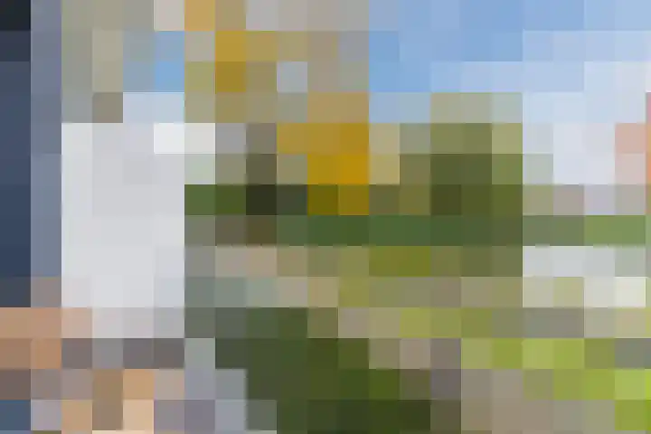 Zwijsenhof 108 Veghel thumbnail 38