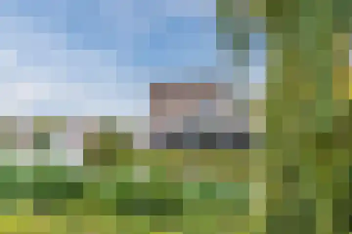 Zwijsenhof 108 Veghel thumbnail 43